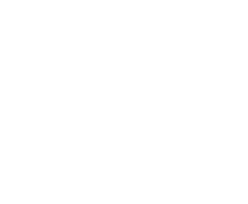 PocketGuard logo